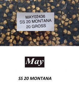 SS 20 MONTANA