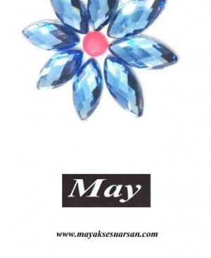 UYGULAMA ÜRÜN (58)